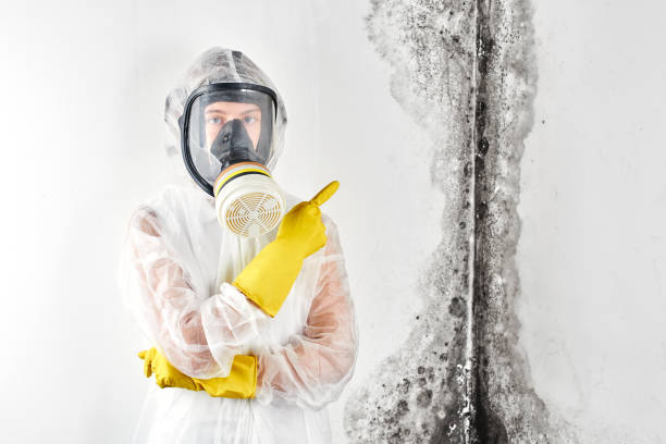 Water damage restoration mold remediation in Lake Dunlap, TX